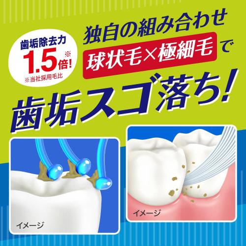 Clear Clean Molar Plus Compact Normal 6-piece Set (*Color Cannot Be Selected)