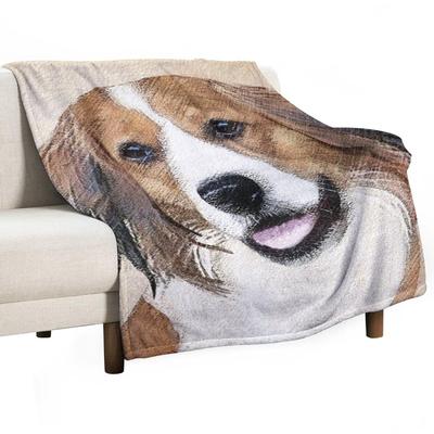 Niederländischer Kooikerhondje Malerei - Hunde Kunst Tagesdecke Lose Polar Vintage Manga Decken