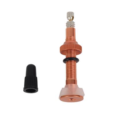 Tige de valve Presta Vélo Tubeless Vide Extendeur Adaptateur de valve pour VTT Vélo de route