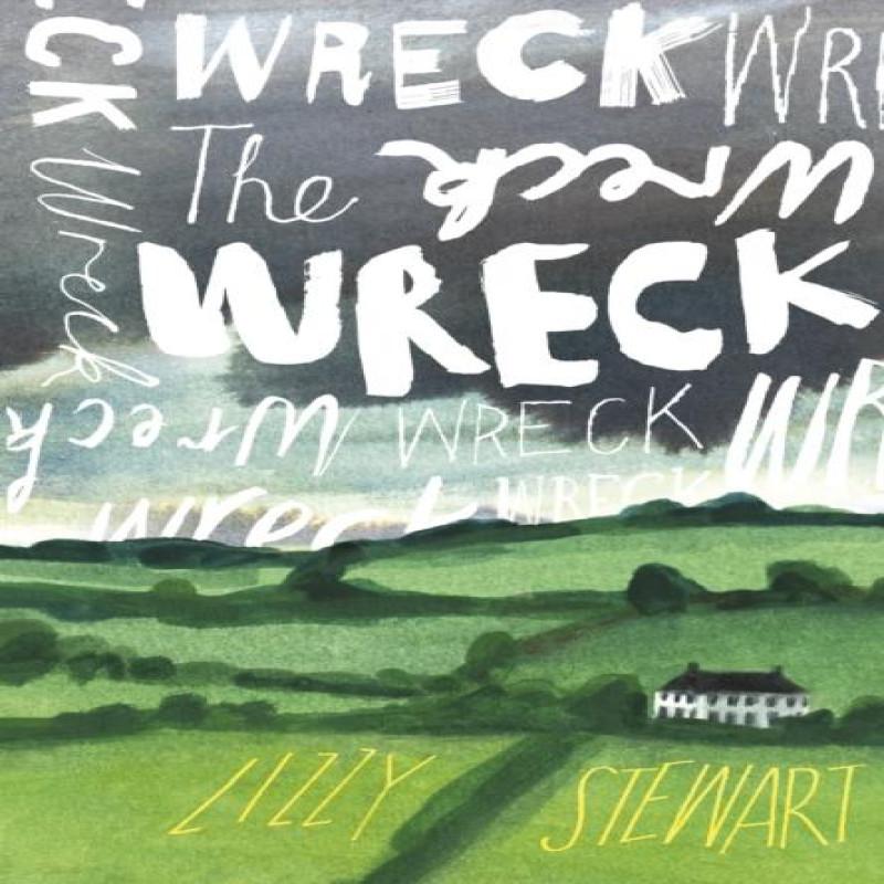 The Wreck by Lizzy Stewart Hardback Book 9781787335318