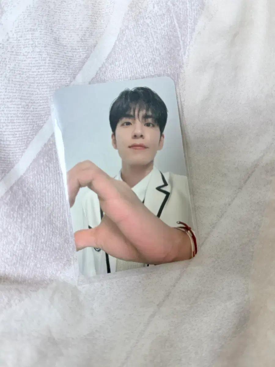 

DAY6 Wonpil 2024 Cherry Blossom Cone 40,000 won bonus double-sided Pokka Used