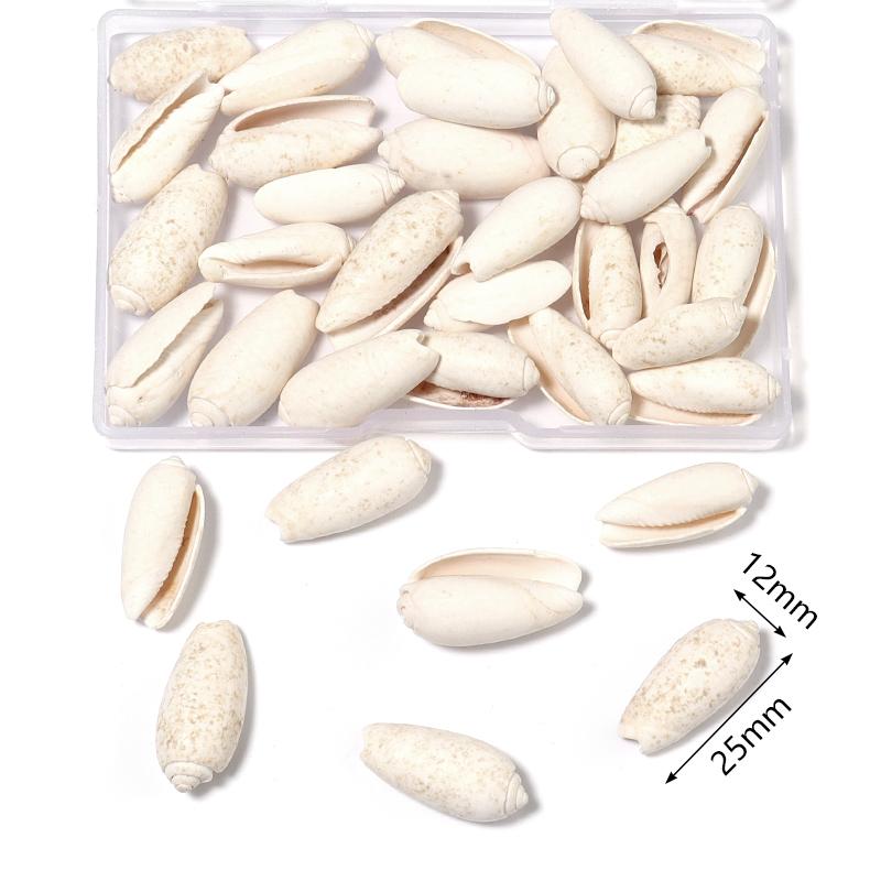 1 Box Sea Shell Spiral Shell Tiny Ocean Spiral Seashell Conch Crafts Aquarium Decoration Landscaping Accessory Photography Props