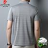Pierre Cardin Men's Striped Mulberry Silk Blend Polo T-Shirt