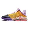 Nike LeBron 19 Low Mismatch Unisex Sneakers Multi-Color Lilac Dark-Smoke-Grey DO9828-500