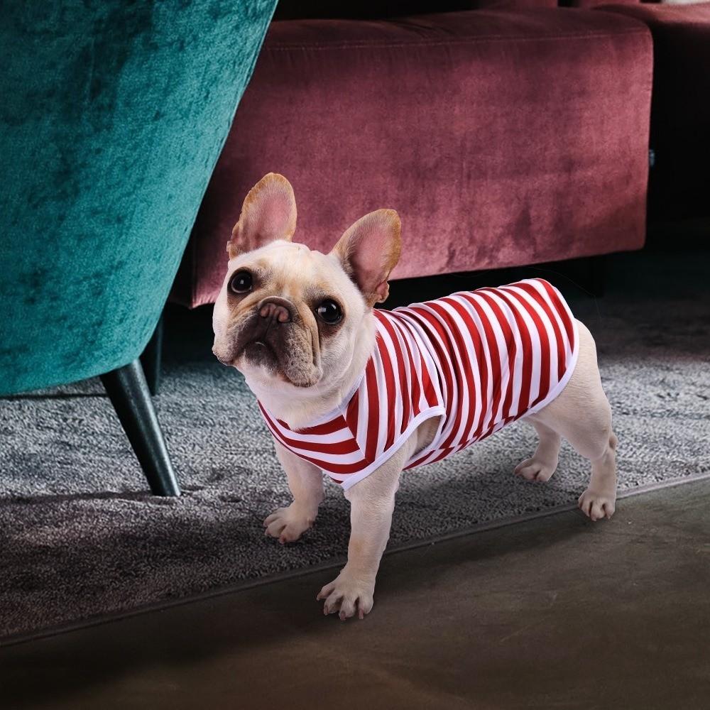 Round Neck Dog Cooling Vest Soft Fabric Pet Striped T-Shirt Dog Summer Clothes  Photography