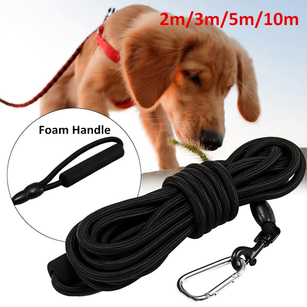 10m dog leash