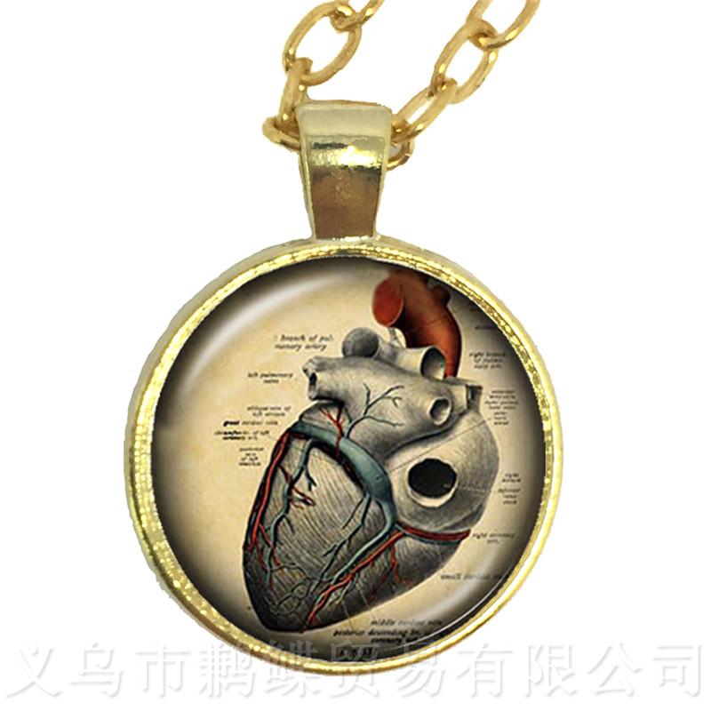 Human Anatomy Organ Necklace Glass Cabochon Science Medical Punk Brain Eye Jewelry Sweater chain Creative Gift