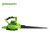 Greenworks 40V Cordless Blower Vacuum CN plug (adapter included)
