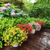 Fake Flowers Outdoor UV Resistant Faux Plants For Outside Yard Wedding Indoor Home Kitchen Farmhouse Decor Artificial Plants