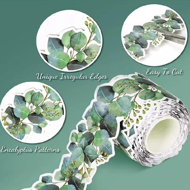 49ft Border Trim for Bulletin Board, Notice Board, Classroom Chalkboard Decoration, Plant Leaf Bulletin Board Border
