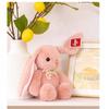Plush Pink Rabbit Toy Stuffed Doll Cute Bunny Toys Kids Gifts Home Decoration