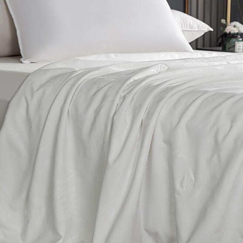 Langsha Soft Mulberry Silk Summer Quilt