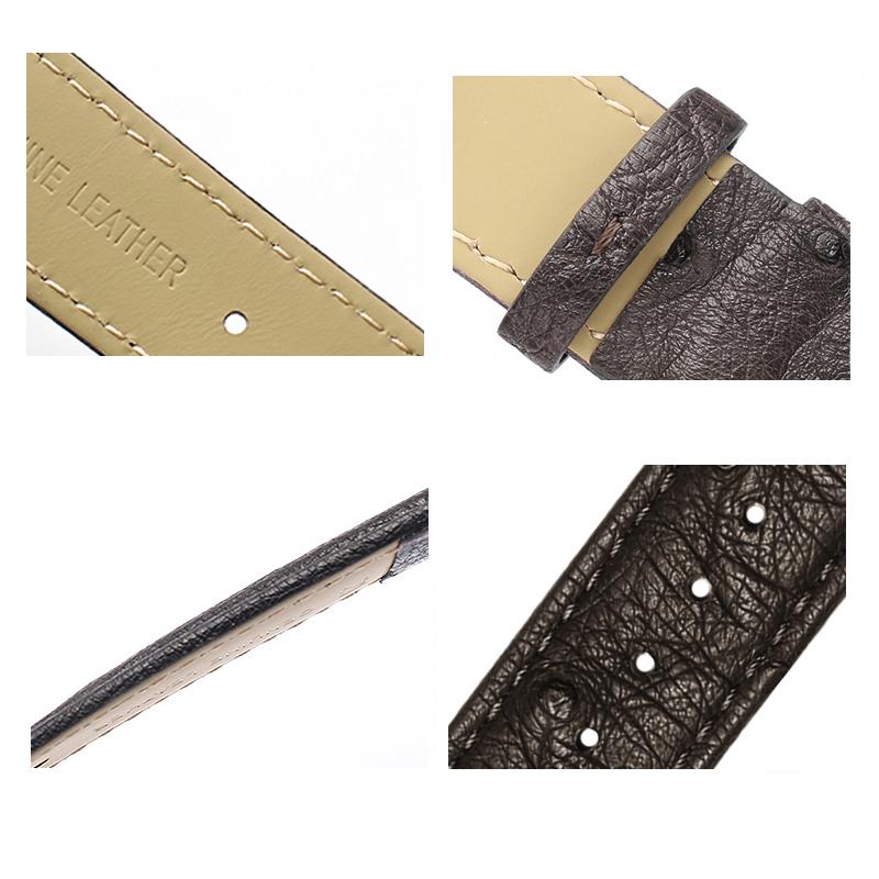 Genuine Watchband Ostrich Leather Strap Fit Seiko Omega Citizen Universal Bracelet 18mm 20mm 21mm 22mm Watch Band Brown Green