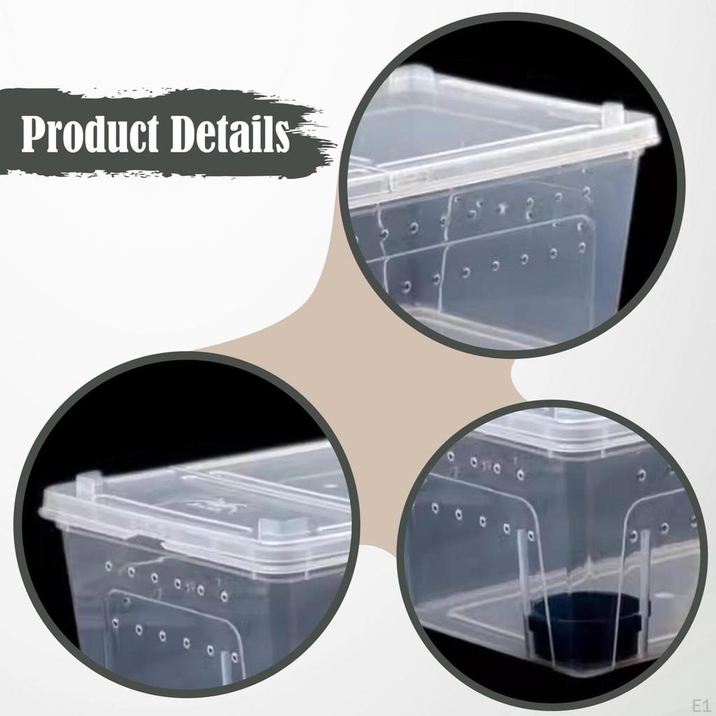Reptile Breeding Box As A Small Animal Habitat And Container. This Terrarium The