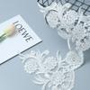 Transparent Sheet Flower Car Bone Lace Lace Clothing Hem Decorative Lace 21Cm