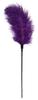 Purple Teasing Feather Duster 56cm - EasyToys Fetish Collection - Whips, Crops & Feather Dusters