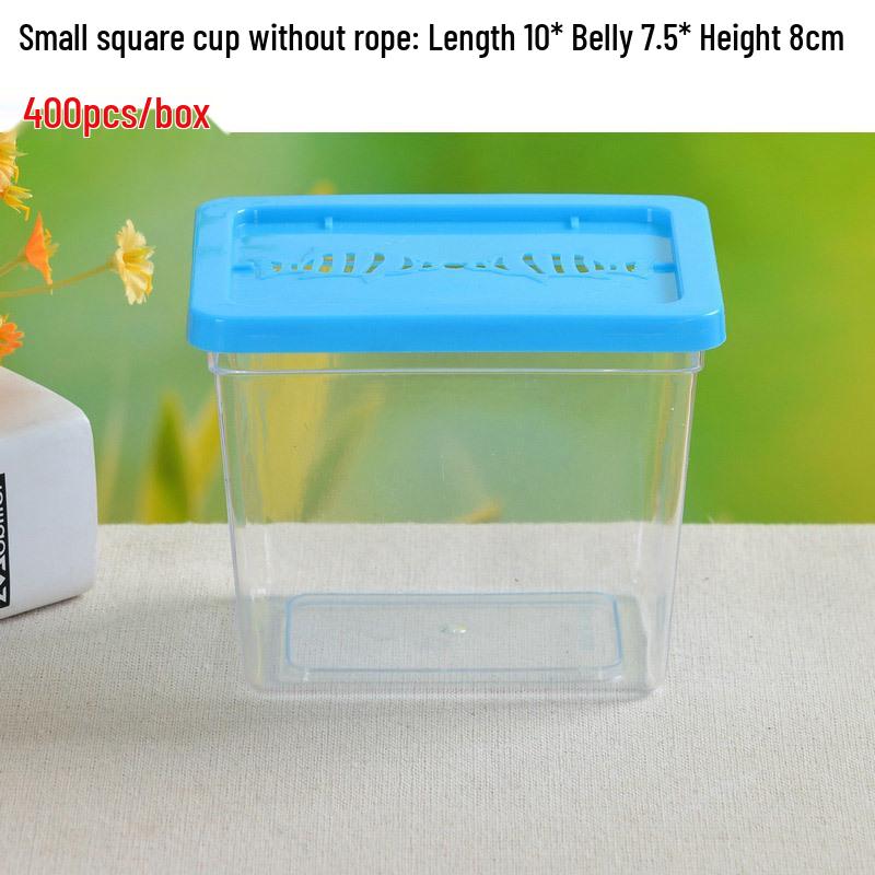 Children's Portable Transparent Pet Transport Box: Small to Large Fish/Turtle Tank