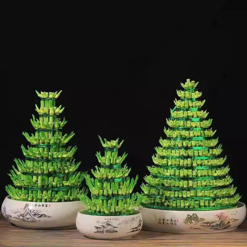 Prosperity Bamboo Tower: Hydroponic Indoor Plant for Wealth and Fortune