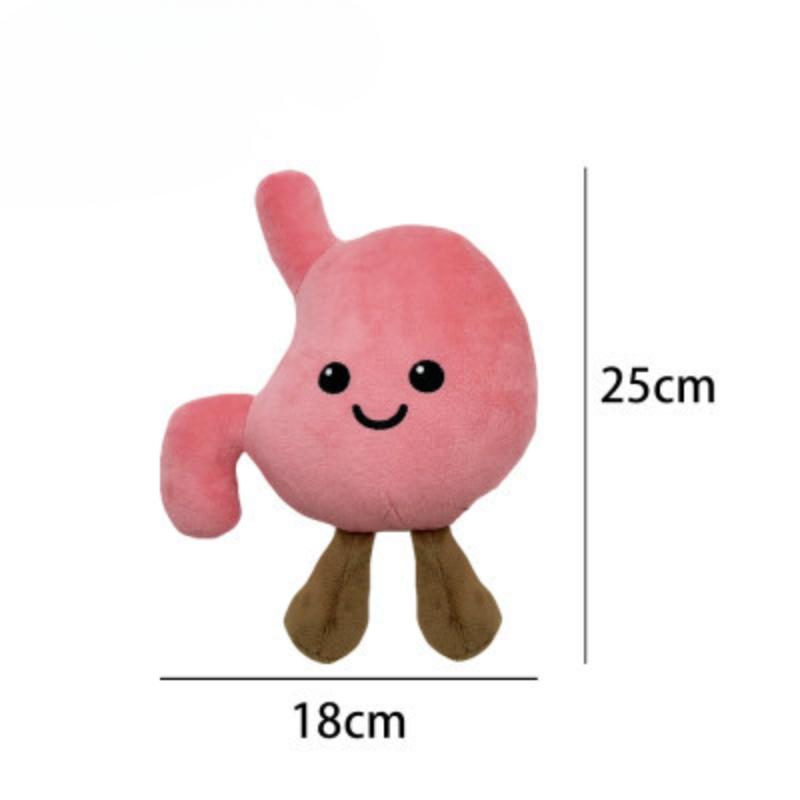 

Новые Горячие Продажи Игрушки Милый Орган Желудок Детская Образовательная Плюшевая Кукла 25cm