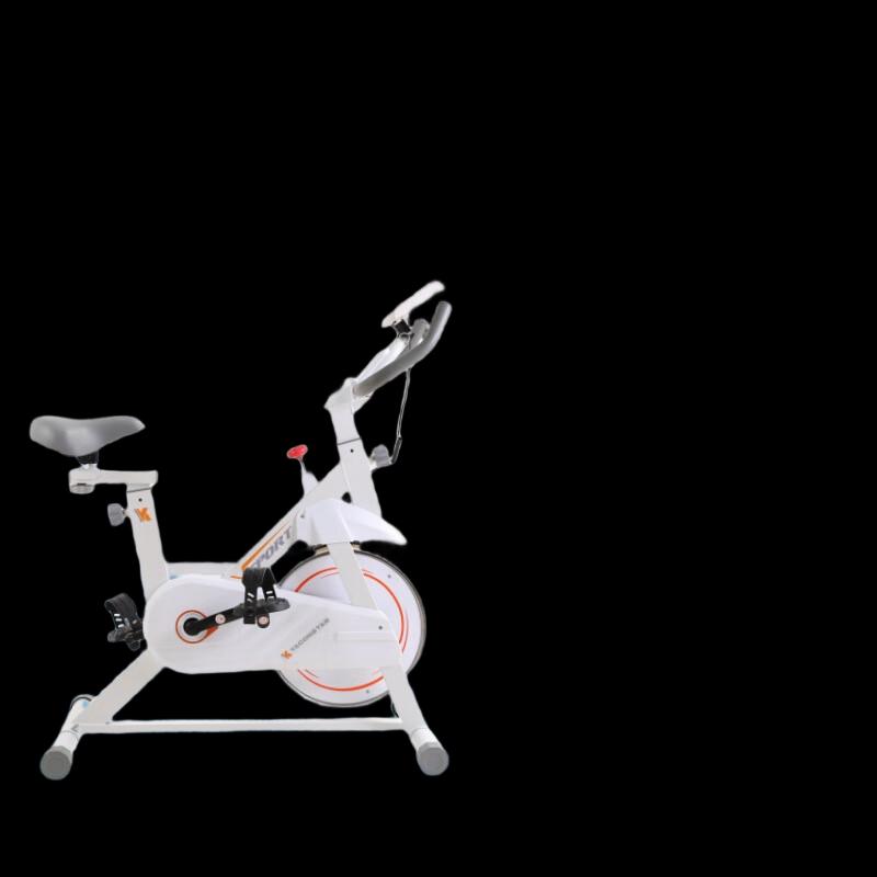 Ayoub Indoor Upright Exercise Bike