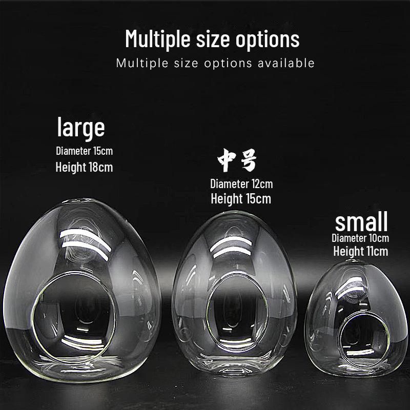 Creative Egg-Shaped Glass Terrarium for Succulents and Moss