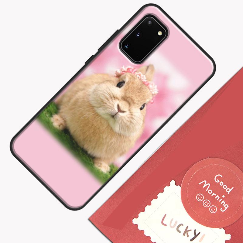 Baby Rabbits Bunny Phone Case For Samsung Galaxy S25 S26 Ultra S20 S21 S22 S23 S24 Plus S9 S10 S25 FE Cover Shell