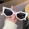 Irregular Sexy Cat Eye Sunglasses Women Men Personality Premium Feel Sun Glasses Daily Commute Travel Glasses