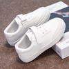 Boys and Girls Low-top Board Shoes Spring and Autumn Ins Students Performance Shoes Soft Soles Baby Casual Classmates