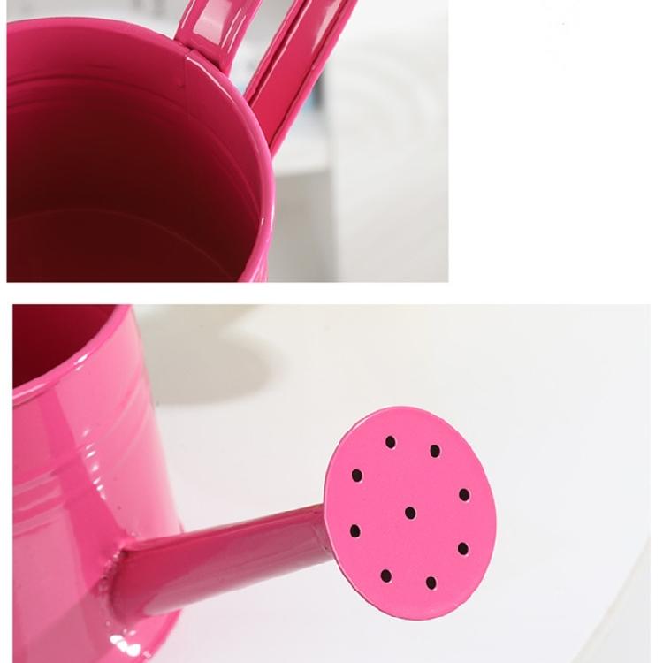 Kovová konvička Malá zahradní konvička s pohodlnou rukojetí Dlouhá hubice Konvička na zalévání pro vnitřní i venkovní použití