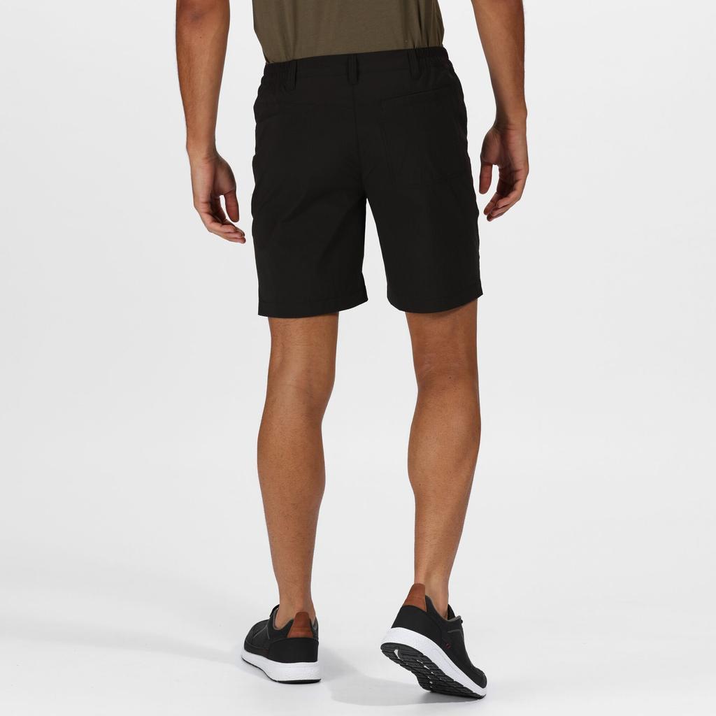 Regatta Mens Highton Mid Shorts