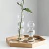 Clear Glass Bubble Hydroponic Vase Cute Style Unique Floral Vase Creative Globose Vase For Wedding Table Centerpieces Home Decor