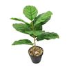 Desktop Rubber Tree & Aspidistra Potted Plant - Bionic Green Landscape Ornament