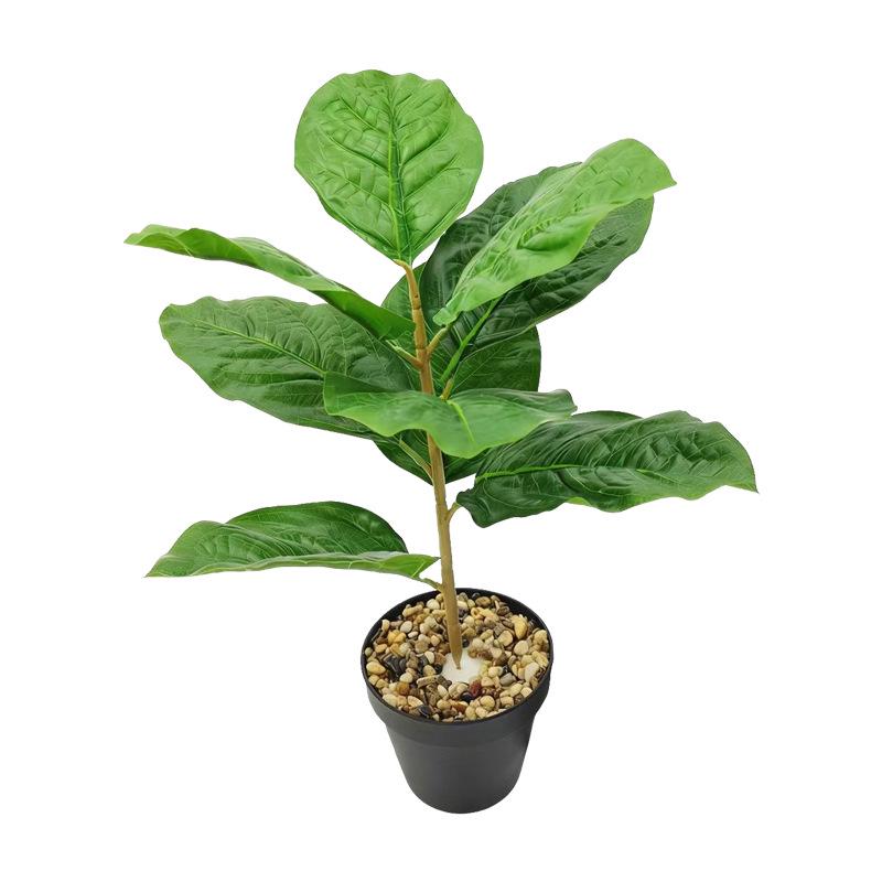 Desktop Rubber Tree & Aspidistra Potted Plant - Bionic Green Landscape Ornament