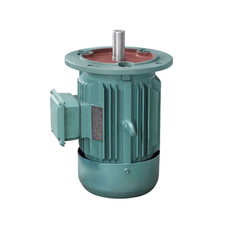 

Lijiu Hong Three-Phase Asynchronous Motor