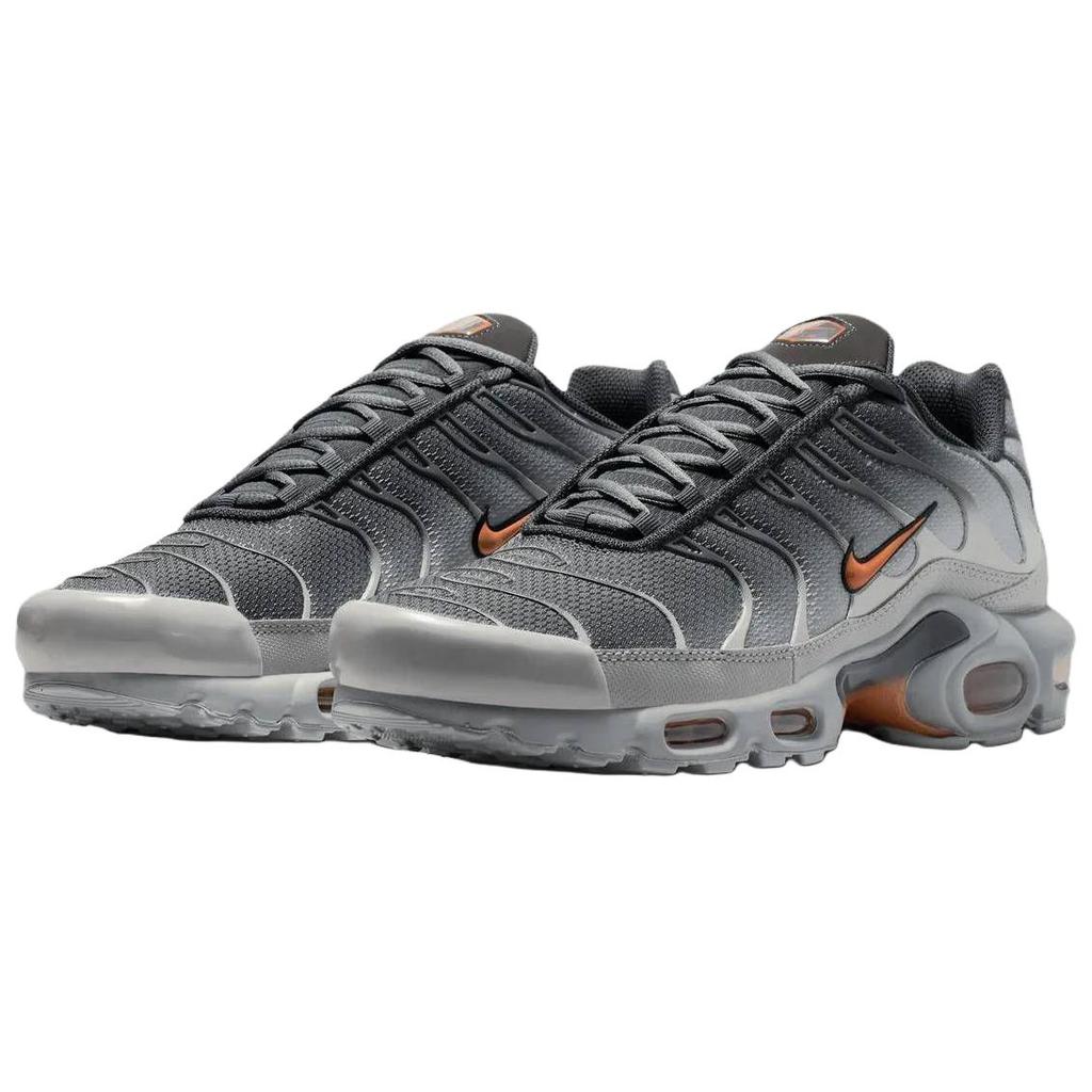 Nike Air Max Plus Běžecké boty Unisex Šedé DM0032-037