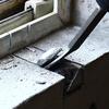 Unelte de mână – Foarfece pentru lemn