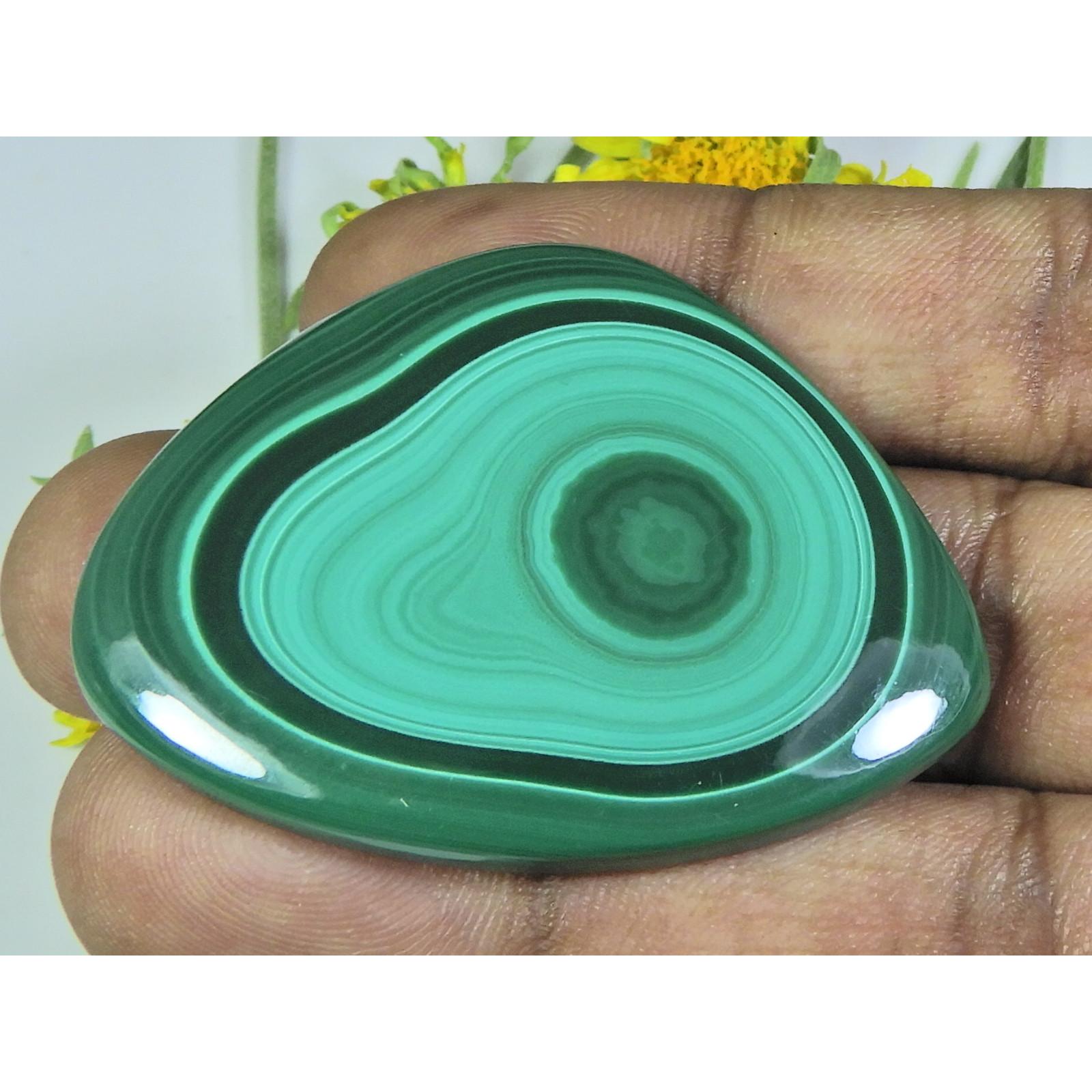 

AA++ Natural Green Malachite Fancy Cabochon Loose Gemstone 36X48X5MM 117Cts. D-42