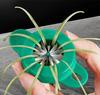 Green Onion Cutter Superfine Onion Flower Cutter Shredded Slicer Graters Easy Manual Vegetable Shredder Mini Kitchen Accessories