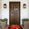 Lucky Theme New Year Festive Red Style Door Floor Kitchen Mats Anti-Slip Indoor Doormat Living Room Entrance Rug Carpet Footpad
