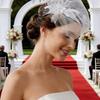 Romance Bird Nest Wedding Veil Tulle Veil Headpiece For Bride Special Occasion Gathering Ceremony Photography Headwear