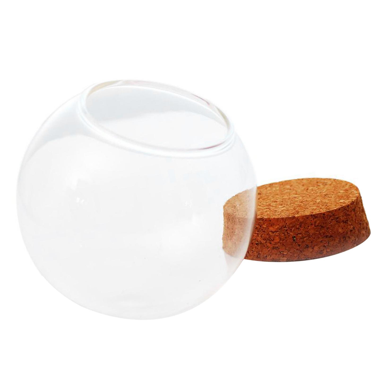 Clear Glass Dome Decor Keepsake Display Case Glass Dome with Base