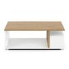 Table basse rectangulaire ACCESS - 3 Niches - Décor chêne Hamilton et blanc - L 91,8 x P 50 x H 36 cm - DEMEYERE