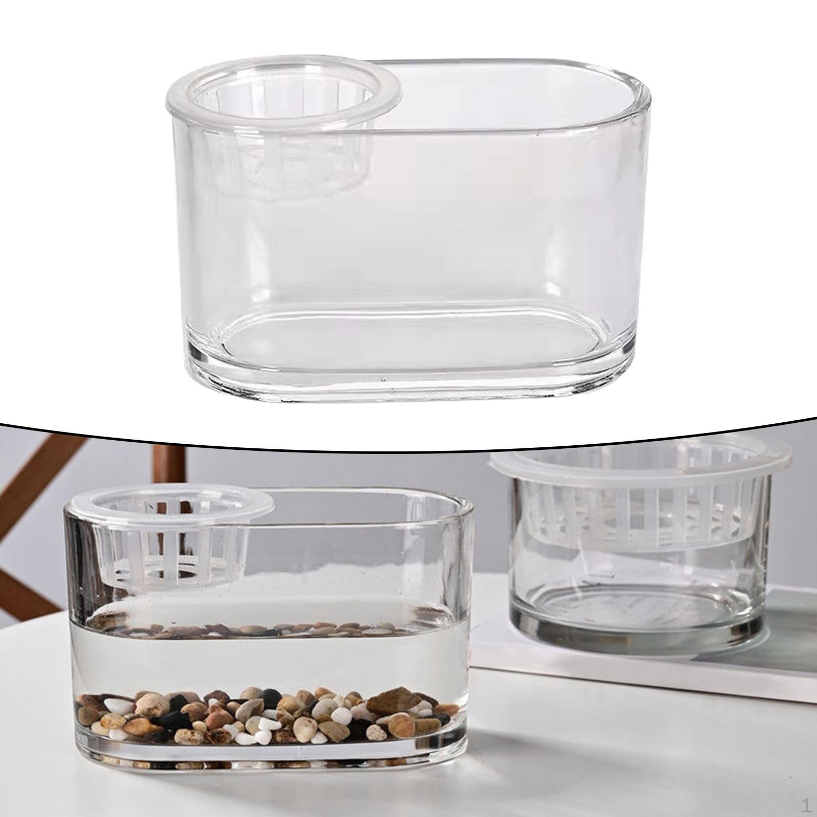 

Aquaponic Tank Plant Growing System Cleaning Decoration Flower Arrangement Container Garden for Clear 20x10x12cm