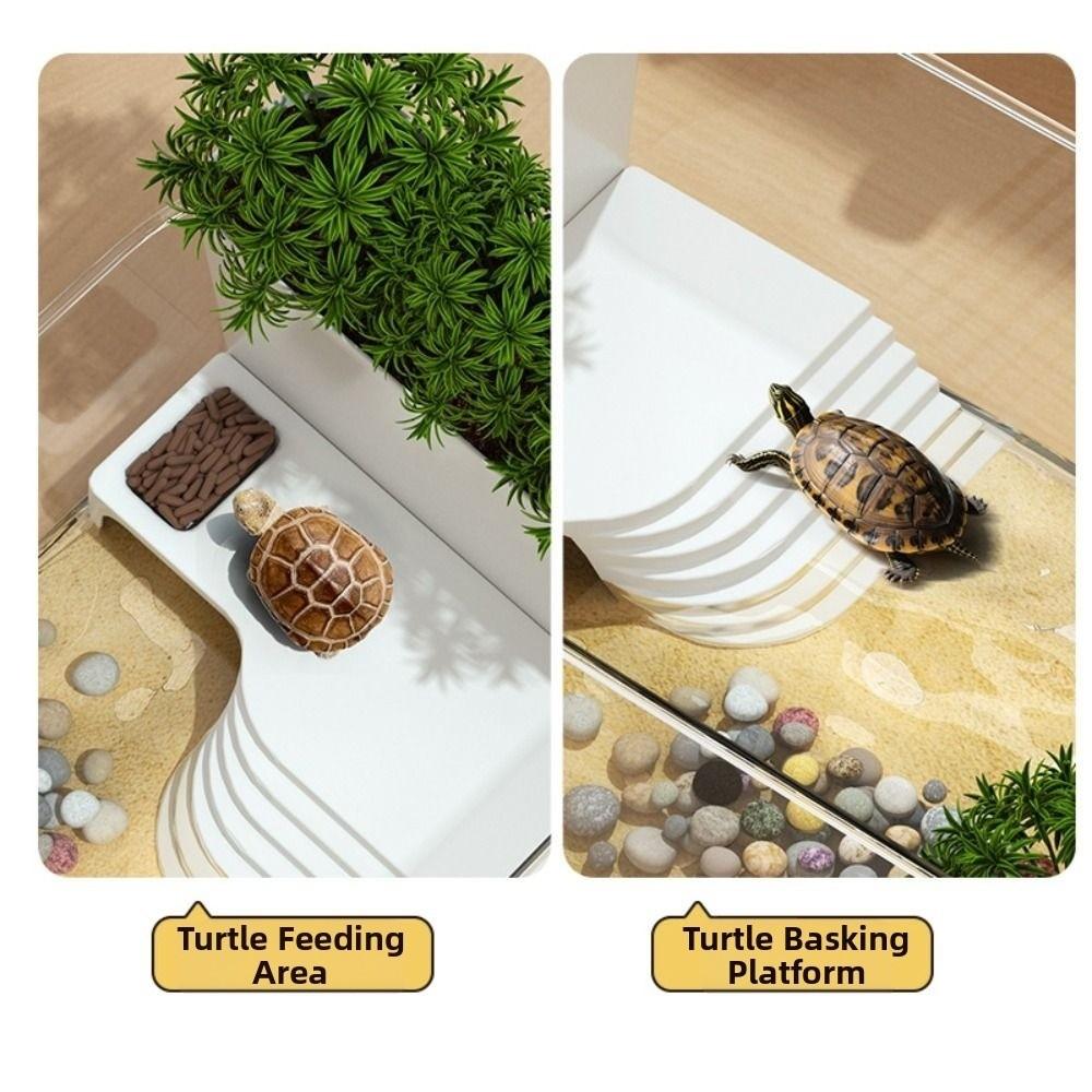 Transparent Turtle Tank Reptile Terrarium Habitat  for Pet Turtles Hermit Crabs Tortoise Adoption