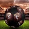 Torino FC Size 5 Soccer Ball, Machine-Stitched PVC, Durable & High Bounce, All Ages Fit, Fan Merchandise, Matches & Outdoor Use.