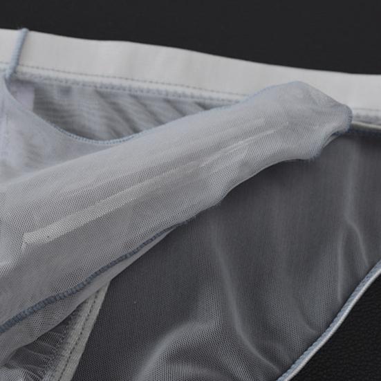 Men Briefs Mesh Elephant Nose Close Fit Mid Waist Transparent See Through Stretchy Panties for Honeymoon