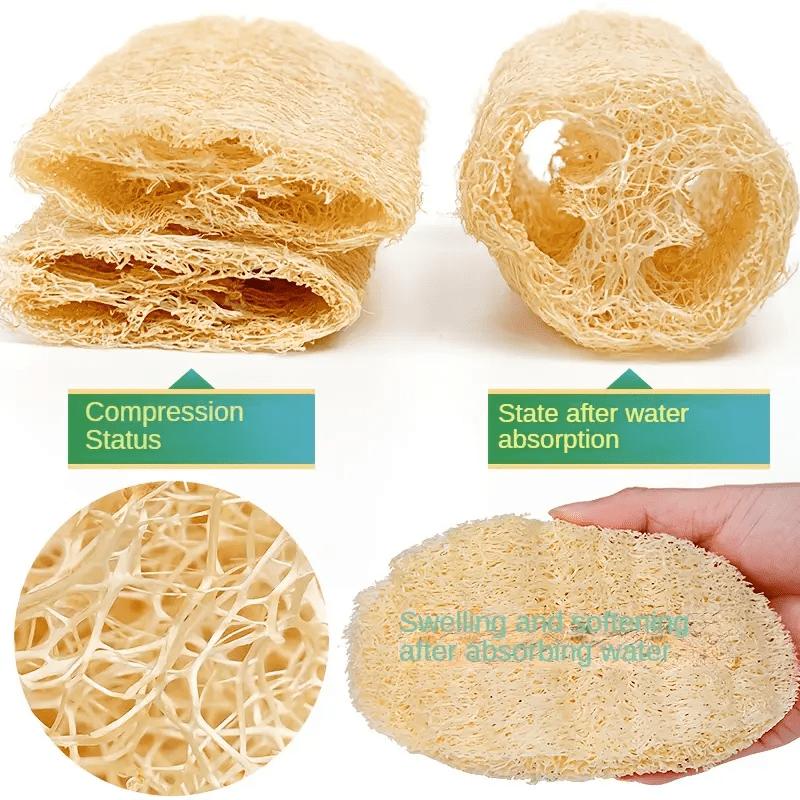 4pcs Natural Sponge Set - Non-Toxic, Fragrance-Free, Exfoliating Scrub Pads for Spa, Restaurant, and Daily Use - Ideal for Bathing & Cleaning