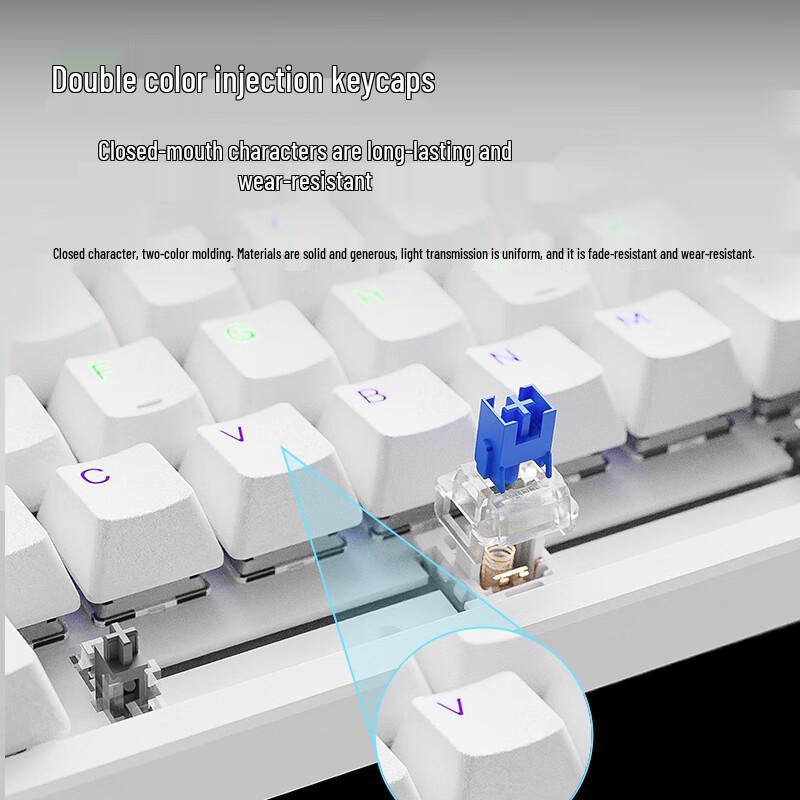 Rapoo V500PRO-98 Wired Mechanical Gaming Keyboard