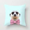 Pillow Print Cartoon Flamingo Grass Mud Horse Cushion Peach Leather Velvet Polyester Pillow Cover