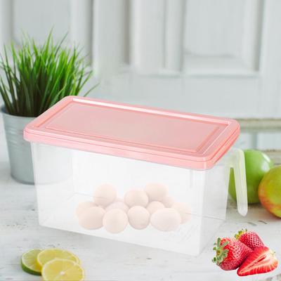 Food Storage Organizer Kitchen Boxes Large Capacity Box Multipurpose Fridge